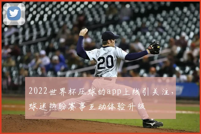 2022世界杯压球的app上线引关注,球迷热盼赛事互动体验升级