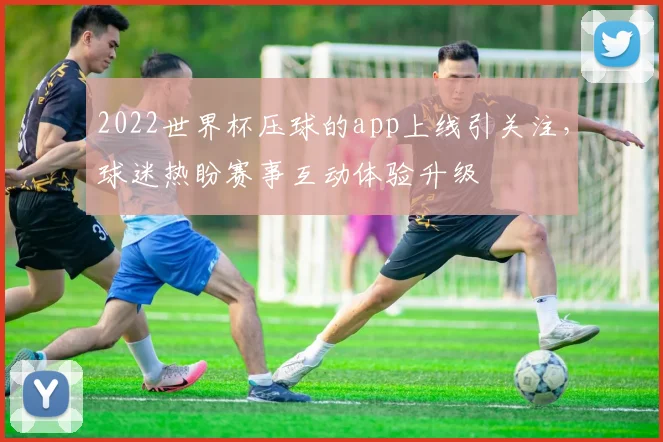 2022世界杯压球的app上线引关注，球迷热盼赛事互动体验升级