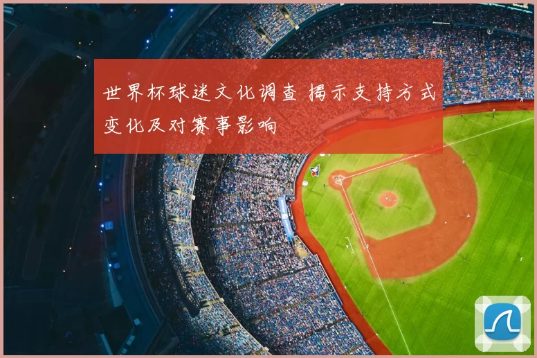 世界杯球迷文化调查 揭示支持方式变化及对赛事影响