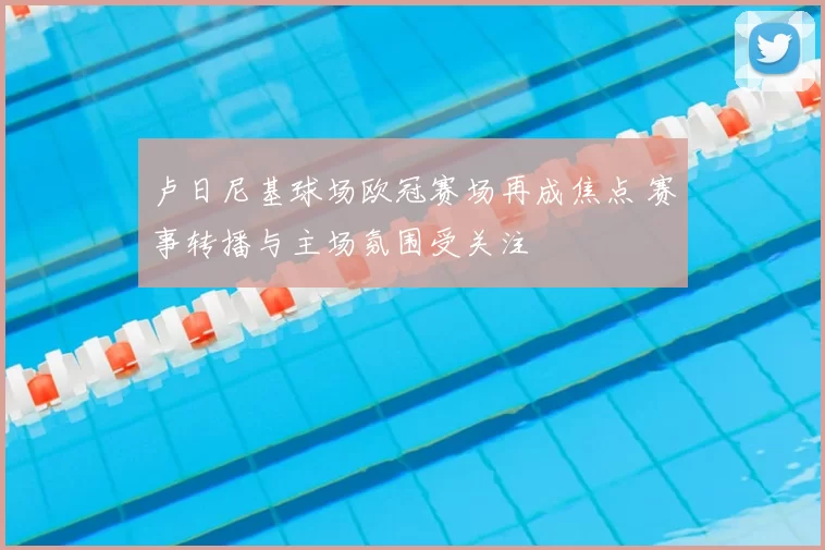 卢日尼基球场欧冠赛场再成焦点 赛事转播与主场氛围受关注