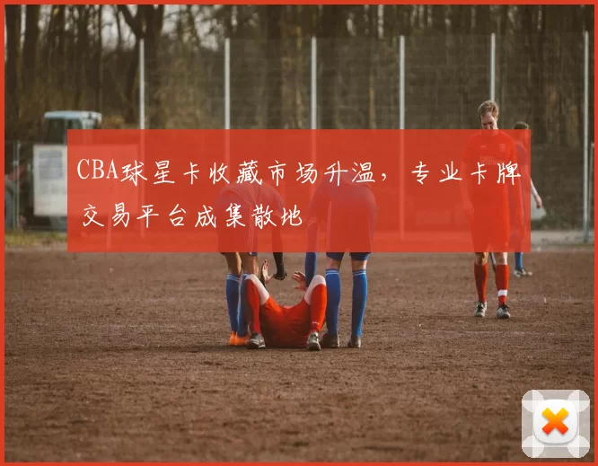 CBA球星卡收藏市场升温，专业卡牌交易平台成集散地