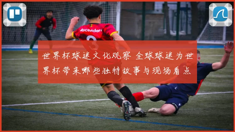 世界杯球迷文化观察 全球球迷为世界杯带来哪些独特故事与现场看点