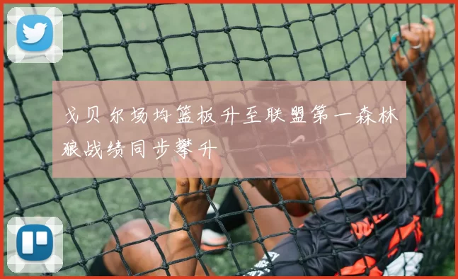 戈贝尔场均篮板升至联盟第一森林狼战绩同步攀升