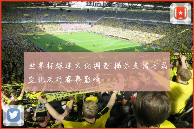 世界杯球迷文化调查 揭示支持方式变化及对赛事影响