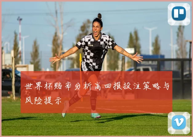 世界杯赔率分析高回报投注策略与风险提示