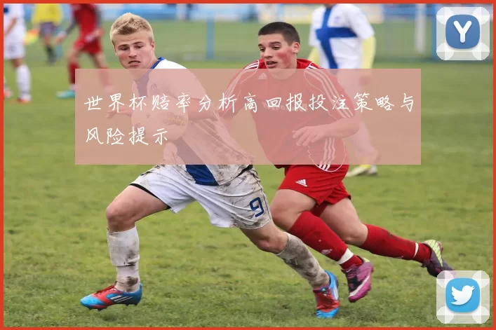 世界杯赔率分析高回报投注策略与风险提示